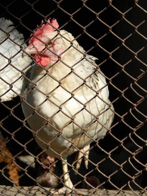 待一场充满 待一场充满